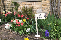 Egg-Hunt