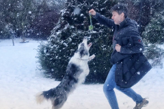 Dog-Steve-in-snow