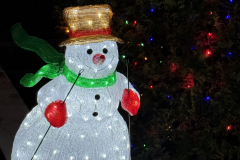 Skiing-snowman-scaled